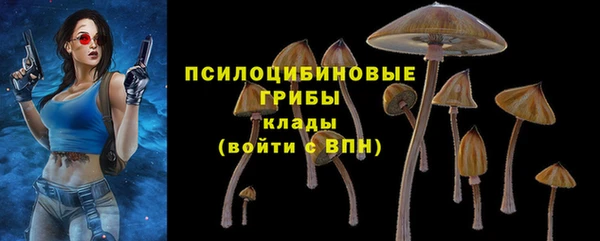 метадон Верея