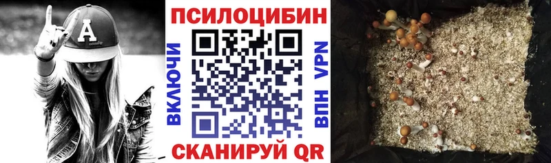 продажа наркотиков  Серпухов  Галлюциногенные грибы Psilocybe 